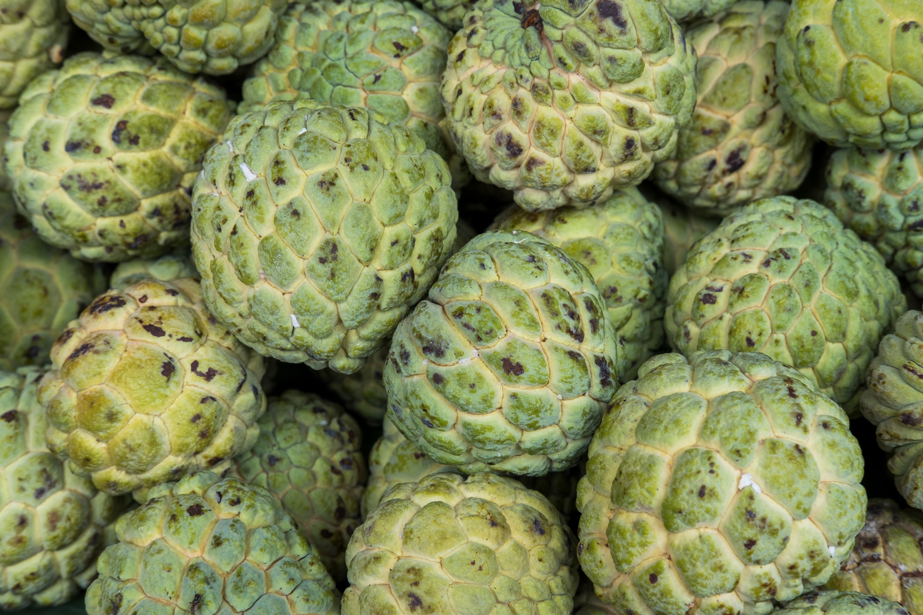 Premium Custard Apple